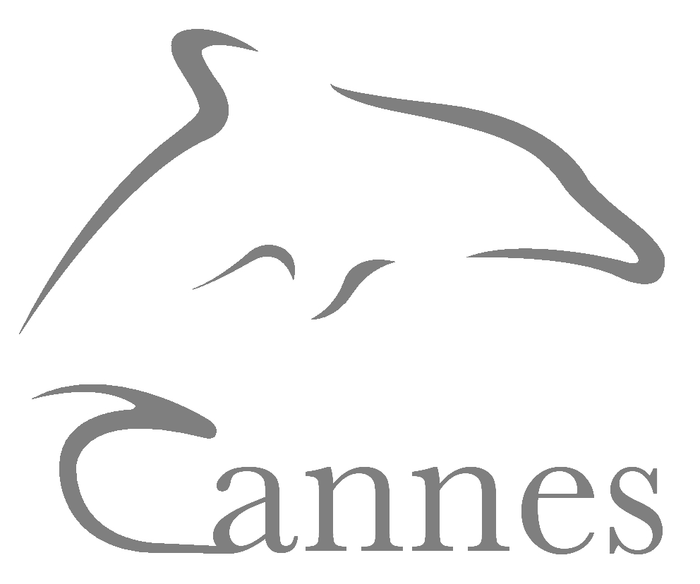 Cannes Corporate Media & TV Awards 2015